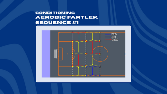 AEROBIC FARTLEK SEQUENCE #1